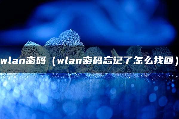 wlan密码（wlan密码忘记了怎么找回）