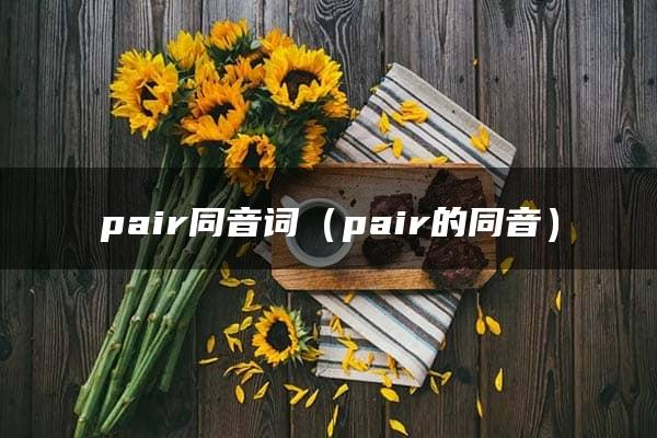 pair同音词（pair的同音）