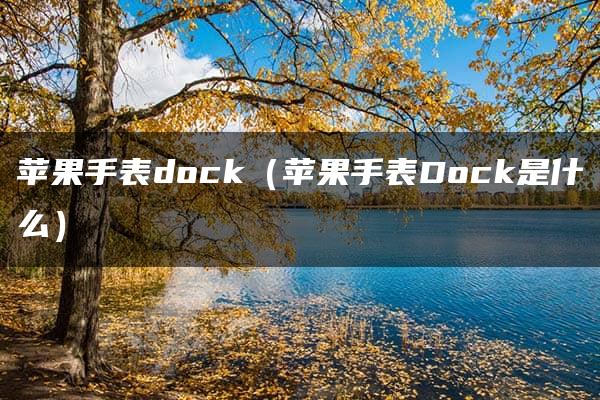 苹果手表dock（苹果手表Dock是什么）