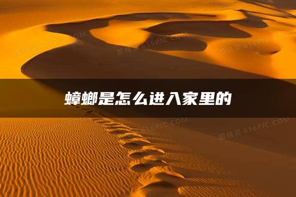 蟑螂是怎么进入家里的