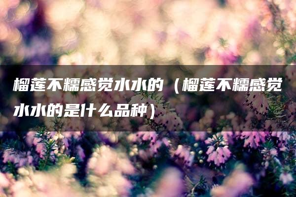 榴莲不糯感觉水水的（榴莲不糯感觉水水的是什么品种）