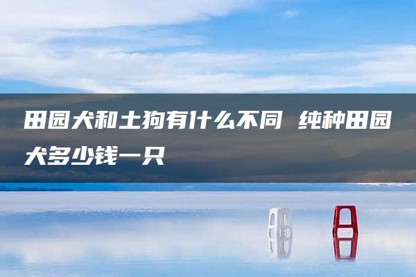 田园犬和土狗有什么不同 纯种田园犬多少钱一只