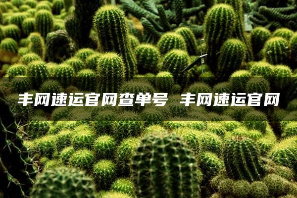 丰网速运官网查单号 丰网速运官网