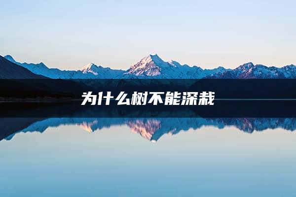 为什么树不能深栽