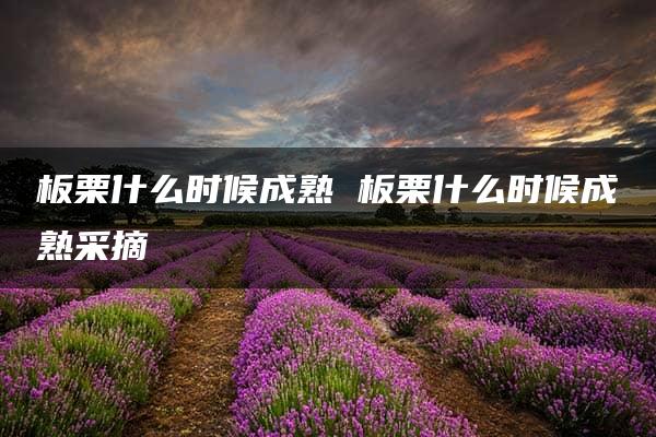 板栗什么时候成熟 板栗什么时候成熟采摘