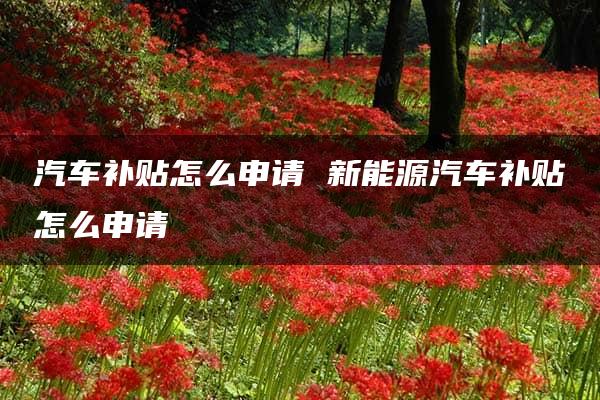 汽车补贴怎么申请 新能源汽车补贴怎么申请