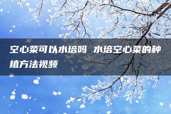 空心菜可以水培吗 水培空心菜的种植方法视频