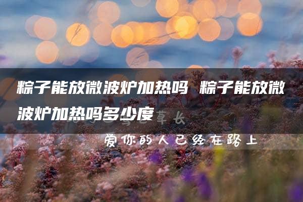 粽子能放微波炉加热吗 粽子能放微波炉加热吗多少度