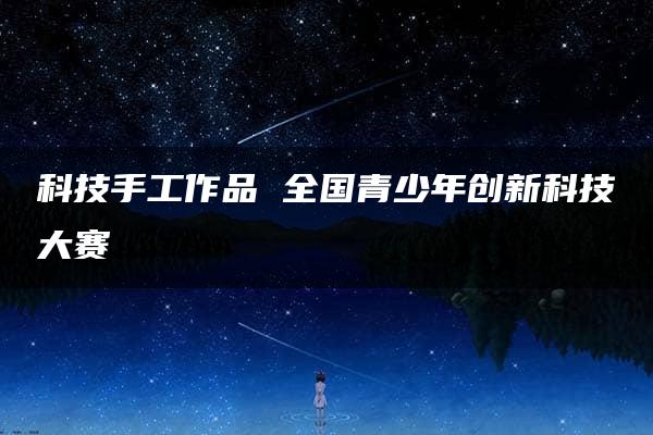 科技手工作品 全国青少年创新科技大赛