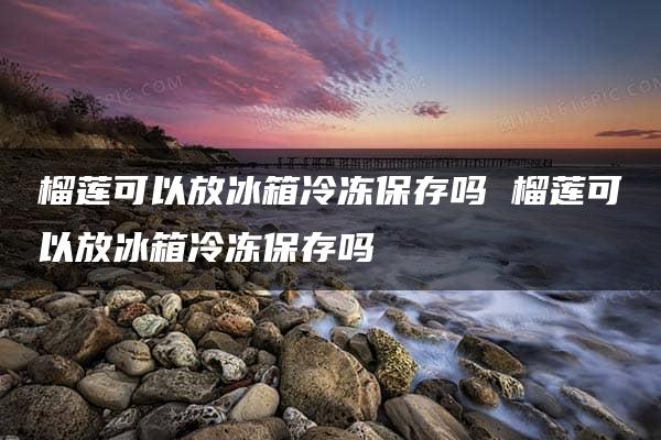 榴莲可以放冰箱冷冻保存吗 榴莲可以放冰箱冷冻保存吗