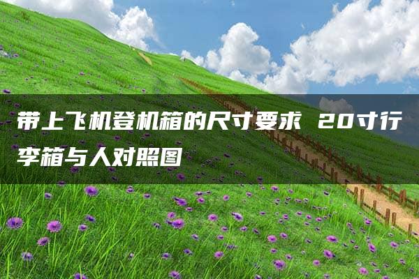 带上飞机登机箱的尺寸要求 20寸行李箱与人对照图