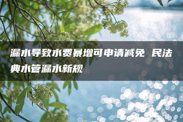 漏水导致水费暴增可申请减免 民法典水管漏水新规