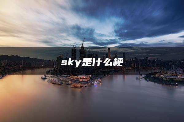 sky是什么梗