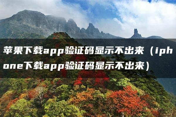 苹果下载app验证码显示不出来（iphone下载app验证码显示不出来）