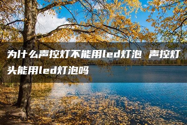 为什么声控灯不能用led灯泡 声控灯头能用led灯泡吗