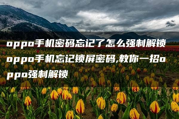 oppo手机密码忘记了怎么强制解锁 oppo手机忘记锁屏密码,教你一招oppo强制解锁