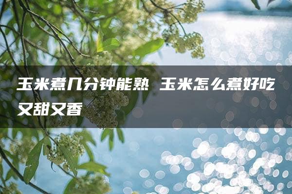 玉米煮几分钟能熟 玉米怎么煮好吃又甜又香