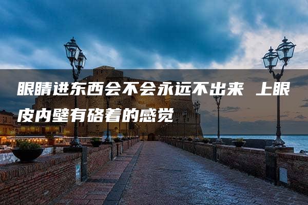 眼睛进东西会不会永远不出来 上眼皮内壁有硌着的感觉