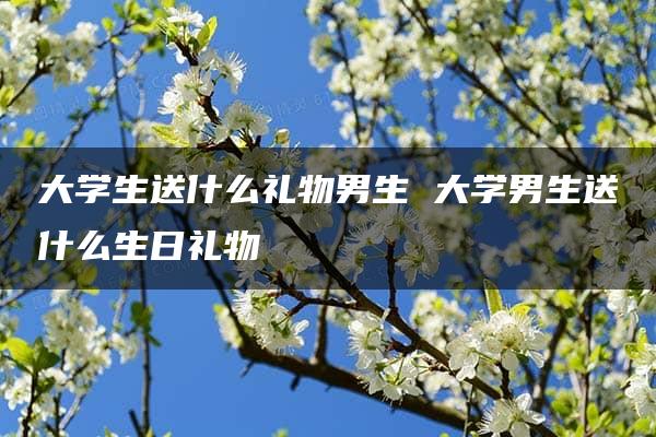 大学生送什么礼物男生 大学男生送什么生日礼物