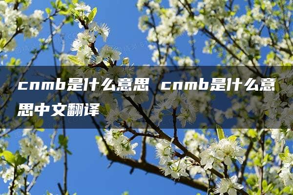 cnmb是什么意思 cnmb是什么意思中文翻译