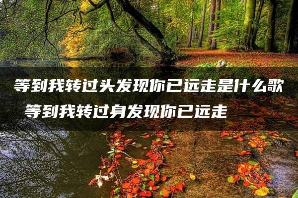 等到我转过头发现你已远走是什么歌 等到我转过身发现你已远走