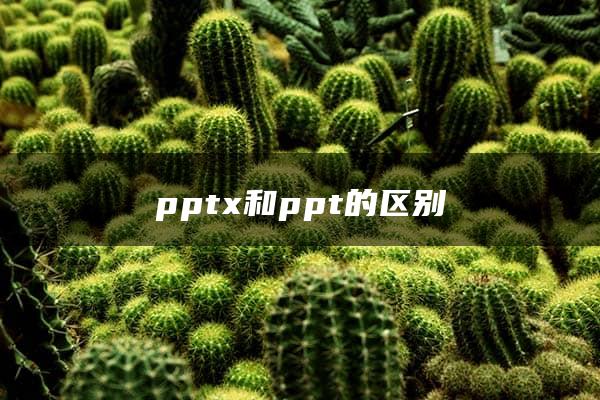 pptx和ppt的区别