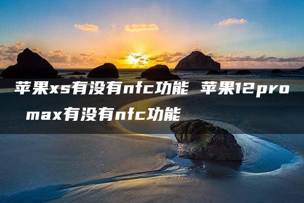 苹果xs有没有nfc功能 苹果12pro max有没有nfc功能