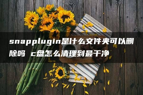 snapplugin是什么文件夹可以删除吗 c盘怎么清理到最干净