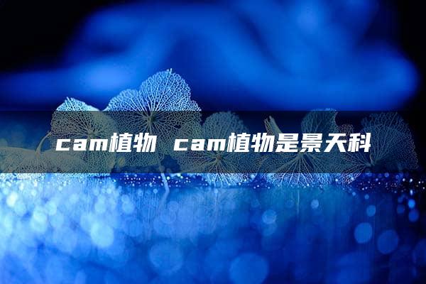 cam植物 cam植物是景天科