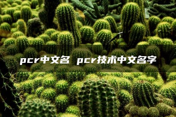 pcr中文名 pcr技术中文名字