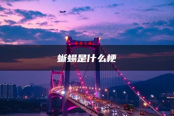 蜥蜴是什么梗