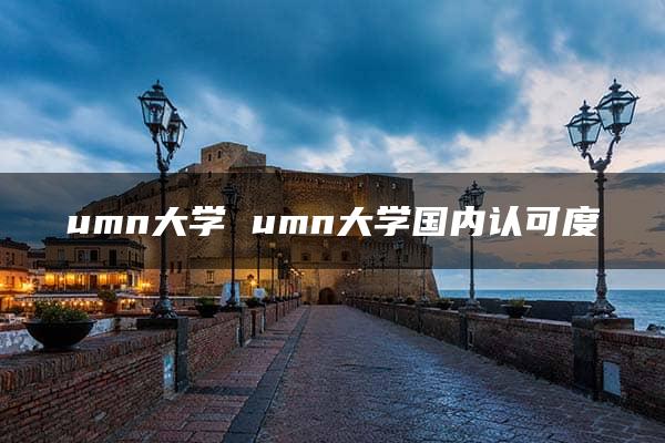 umn大学 umn大学国内认可度