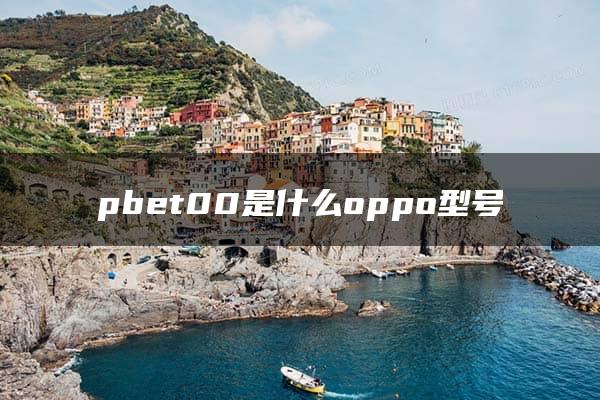 pbet00是什么oppo型号