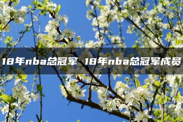 18年nba总冠军 18年nba总冠军成员