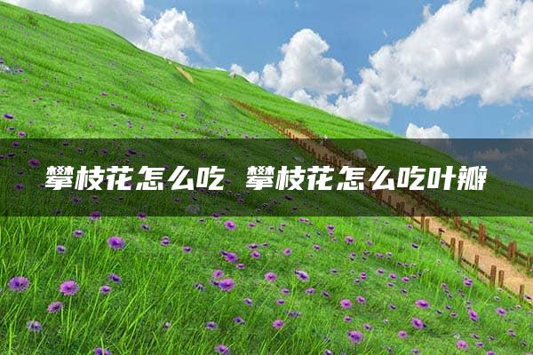 攀枝花怎么吃 攀枝花怎么吃叶瓣