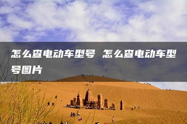 怎么查电动车型号 怎么查电动车型号图片