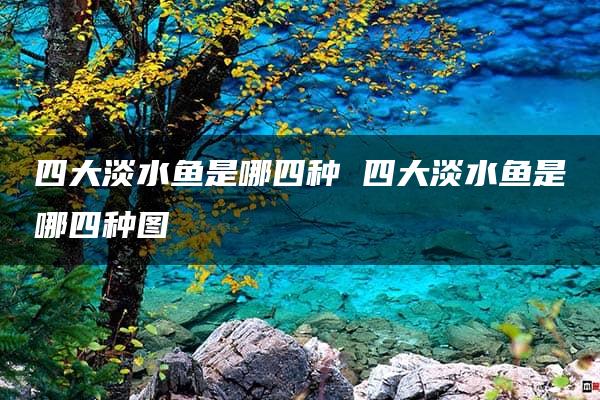 四大淡水鱼是哪四种 四大淡水鱼是哪四种图