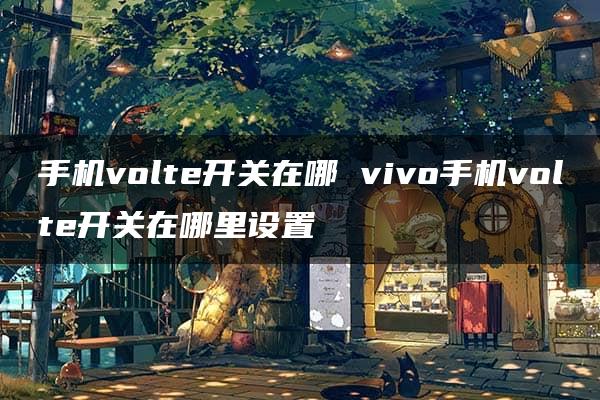 手机volte开关在哪 vivo手机volte开关在哪里设置