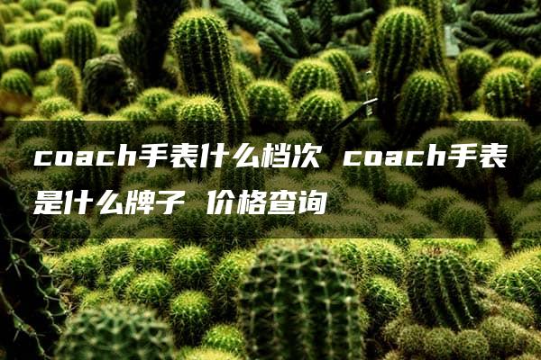 coach手表什么档次 coach手表是什么牌子 价格查询