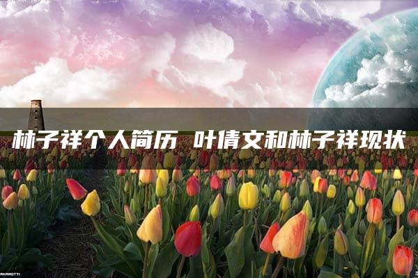 林子祥个人简历 叶倩文和林子祥现状