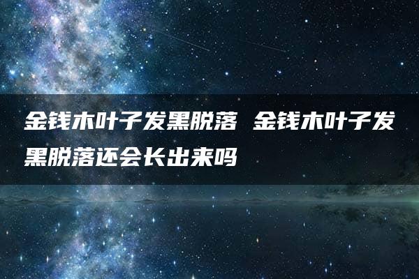 金钱木叶子发黑脱落 金钱木叶子发黑脱落还会长出来吗