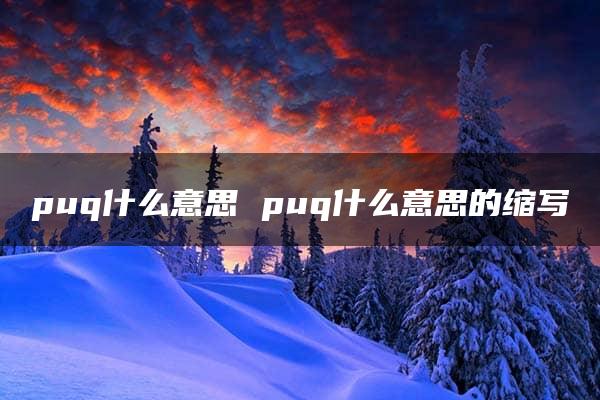 puq什么意思 puq什么意思的缩写