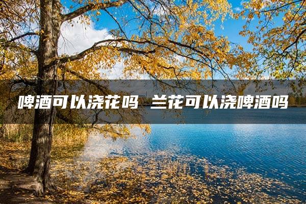 啤酒可以浇花吗 兰花可以浇啤酒吗