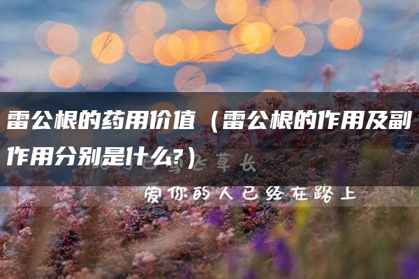 雷公根的药用价值（雷公根的作用及副作用分别是什么?）