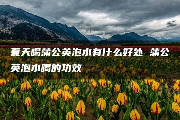 夏天喝蒲公英泡水有什么好处 蒲公英泡水喝的功效