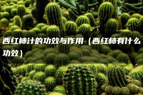 西红柿汁的功效与作用（西红柿有什么功效）