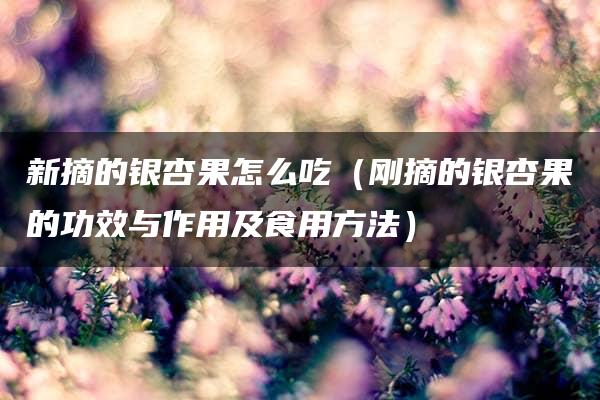 新摘的银杏果怎么吃（刚摘的银杏果的功效与作用及食用方法）