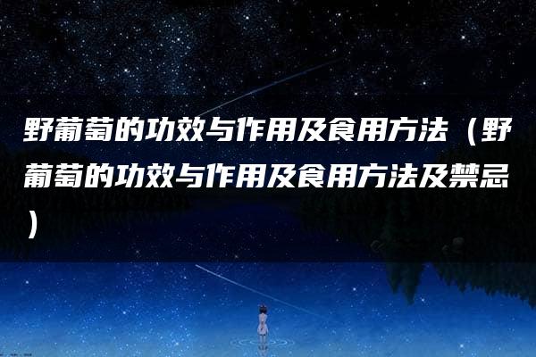 野葡萄的功效与作用及食用方法（野葡萄的功效与作用及食用方法及禁忌）