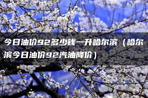 今日油价92多少钱一升哈尔滨（哈尔滨今日油价92汽油降价）