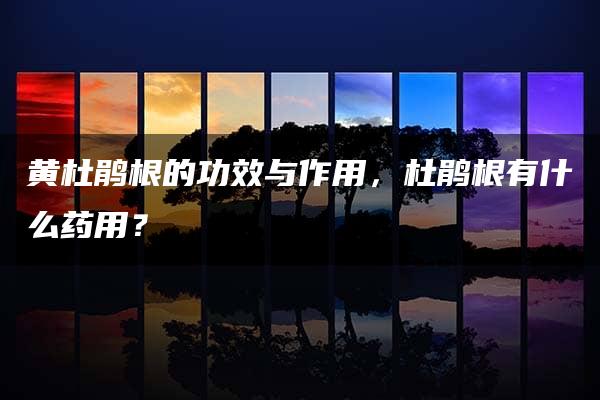 黄杜鹃根的功效与作用，杜鹃根有什么药用？